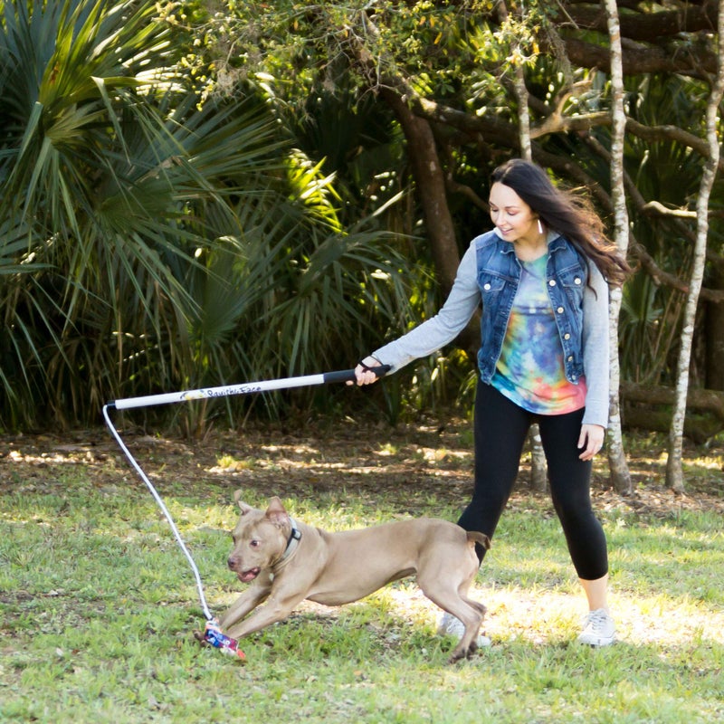 Squishy Face Studio Flirt Pole V2 with Lure - Durable Dog Toy for Fun Obedience Training & Exercise, Rainbow Tie Dye, Regular - 36 inch - Image 2